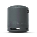 Parlante Sony SRS-XB100/BCLA Black