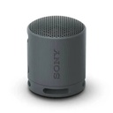 Parlante Sony SRS-XB100/BCLA Black