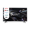 Smart Tv Led 43 HD Quint Con Google TV