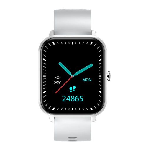 [7662] Smartwatch Foxbox Neutron Gris